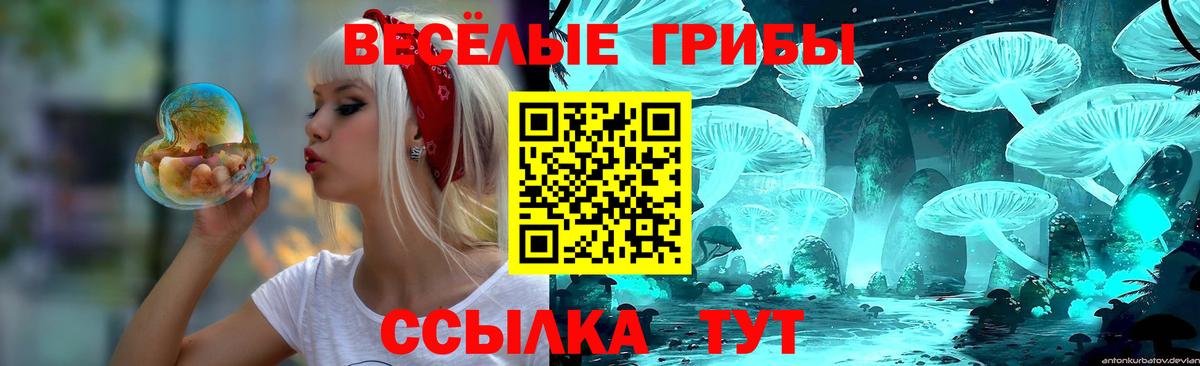Сатка  Псилоцибиновые грибы GOLDEN TEACHER  купить закладку  Вход с VPN 